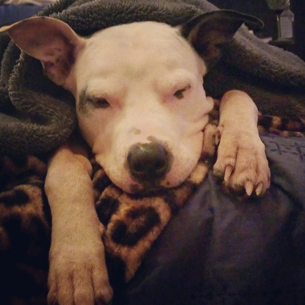 Meet your Posher, Janaye